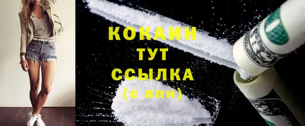 ПСИЛОЦИБИНОВЫЕ ГРИБЫ Ельня