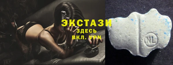 шишки Шадринск