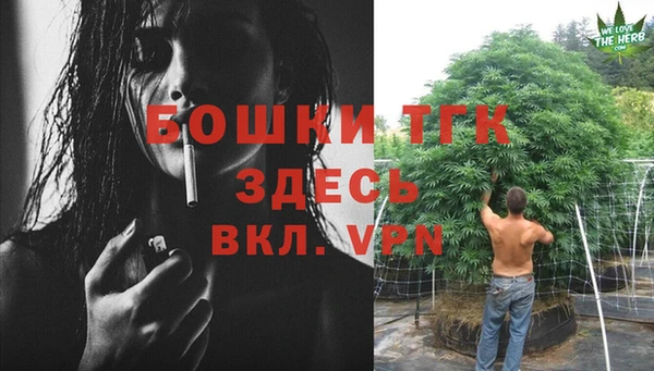 ПСИЛОЦИБИНОВЫЕ ГРИБЫ Ельня