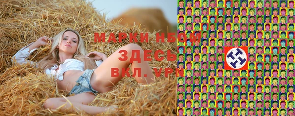 амф Дмитровск
