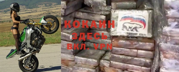 Альфа ПВП Дмитров